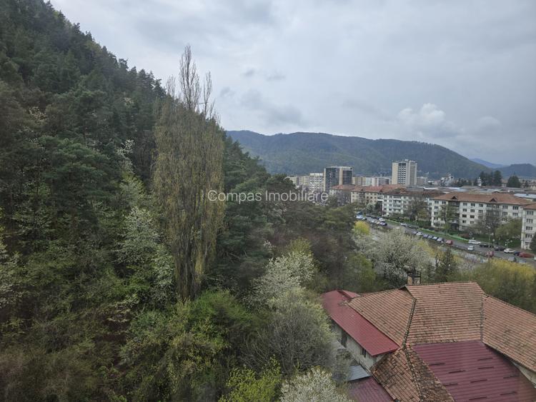 Apartament 2 camere, etaj 8/9, priveliște superbă Zona Orhei - 4