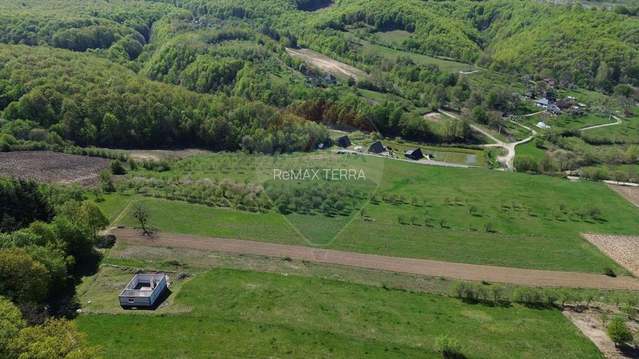 Proprietate de vanzare langa liziera pădurii Coas - 9