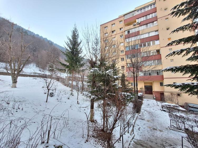 Apartament parcare si boxa in Racadau, pet friendly - 2