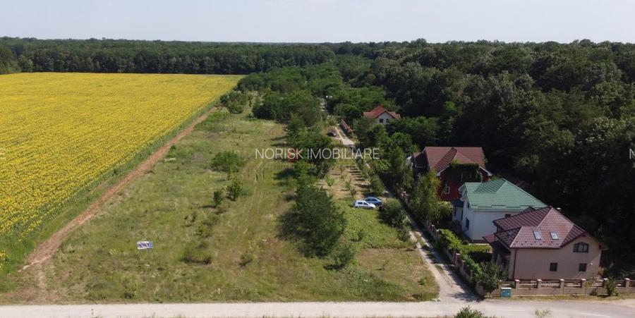 Snagov padure - Teren intravilan cu PUZ aprobat - 8