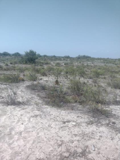 Vadu-Corbu-Teren 2000 mp primul  rand la mare - 2