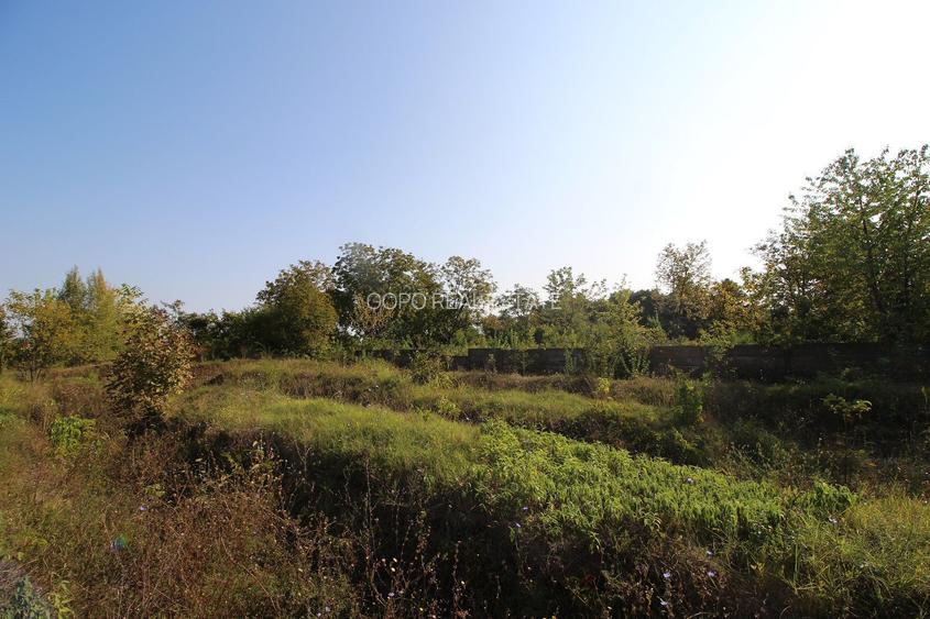 Teren 5963 mp deschidere lac Grivita 42 m cu deschidere la strazi 77 m - 11