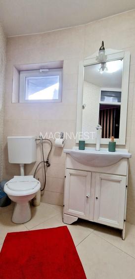 Vanzare - imobil cu posibilitati de investitie multiple - Mazepa 2 - 20