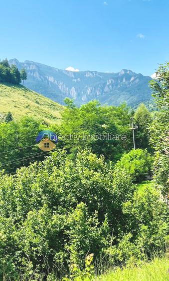  TEREN Izvoru Muntelui, langa orasul  BICAZ - 7