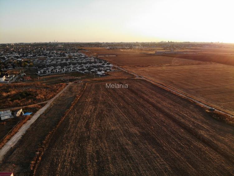 47500mp INTRAVILAN Pantelimon ideal investitie/ cartier case/ direct proprietar! - 11