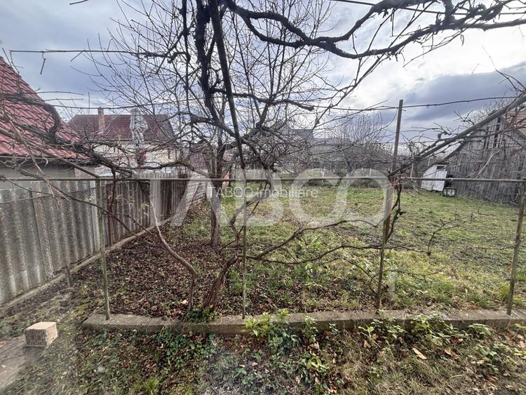 Casa individuala cu 3 camere  de vanzare 1020 mp teren in Hamba - 13