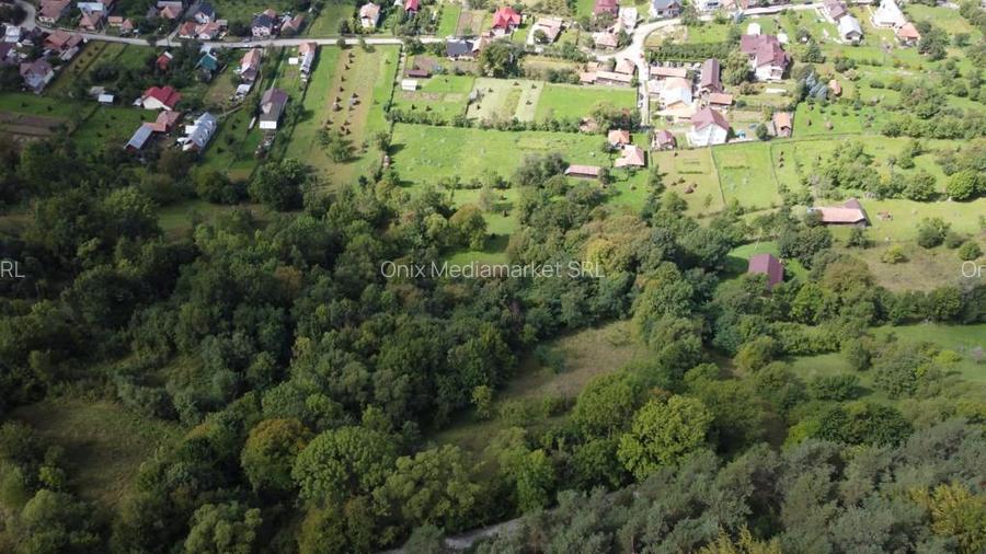 TEREN VALEA DOFTANEI - 6