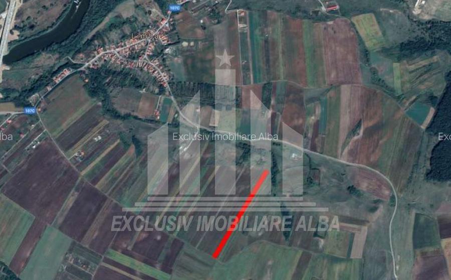 Teren extravilan | Agricol | 8000 mp | 14 ml deschidere | Limba - 2