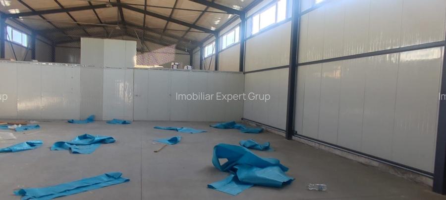 Voluntari - hala noua 500mp - 4