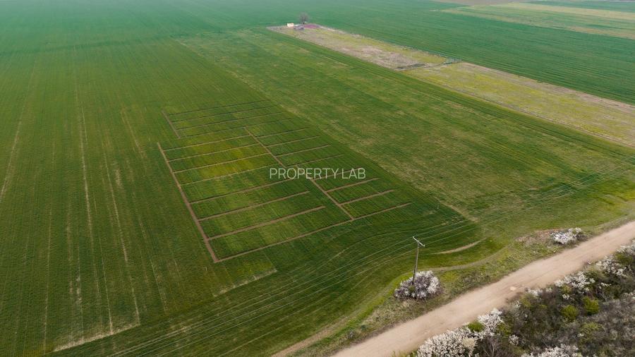 Teren dezvoltare bloc P+2E+M Giroc PUZ aprobat - 10