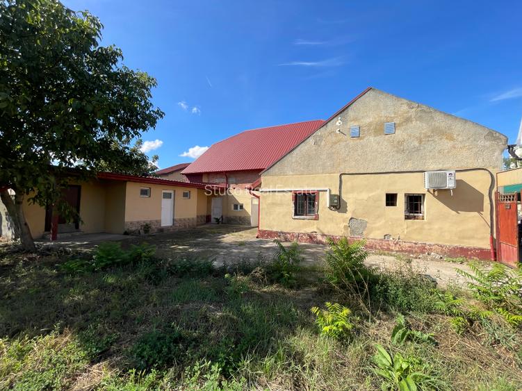 Casă de vânzare în centrul satului Dudeștii Noi - 9