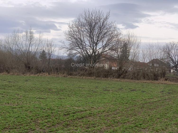 Teren de vanzare Stupini - 2