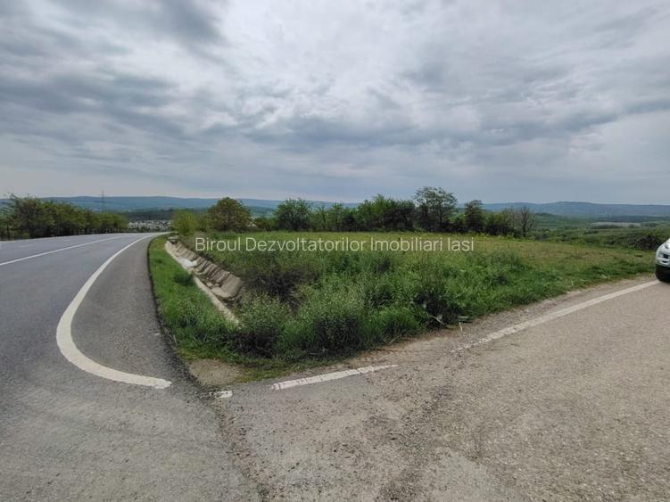 Teren intravilan 1800 mp, Centura-Ciurbesti-dubla deschidere - 14