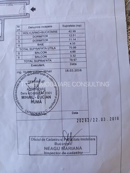 Titan aleea Ninsorii - 10
