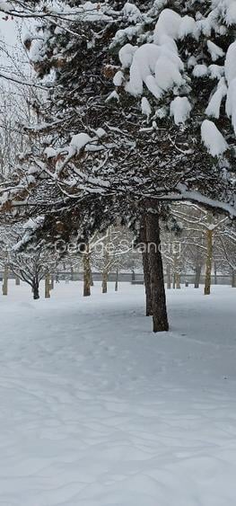 PROPRIETAR | 3 Camere Titan - Vis-a-vis Parcul IOR | Bloc Potcoava (Consolidat) - 13