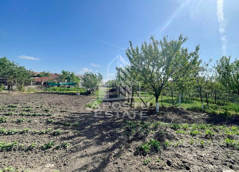 Casa individuala cu curte individuala si gradina - Zona Gai - 23