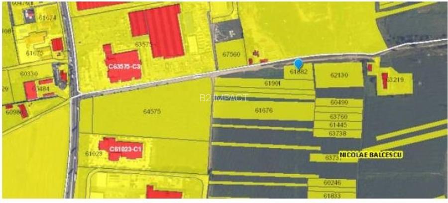 Teren agricol extravilan de 2354 mp, în Nicolae Bălcescu - 4