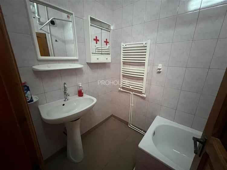 Garsonieră ultracentrală, renovată, vedere parc – Parcul Cancicov - 13