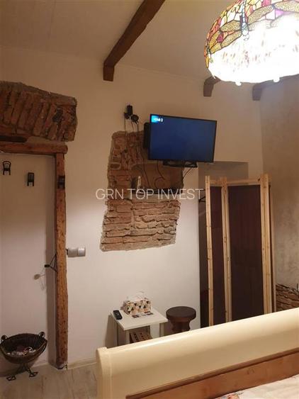 Apartament zona Ultracentrala pretabil regim hotelier - 10