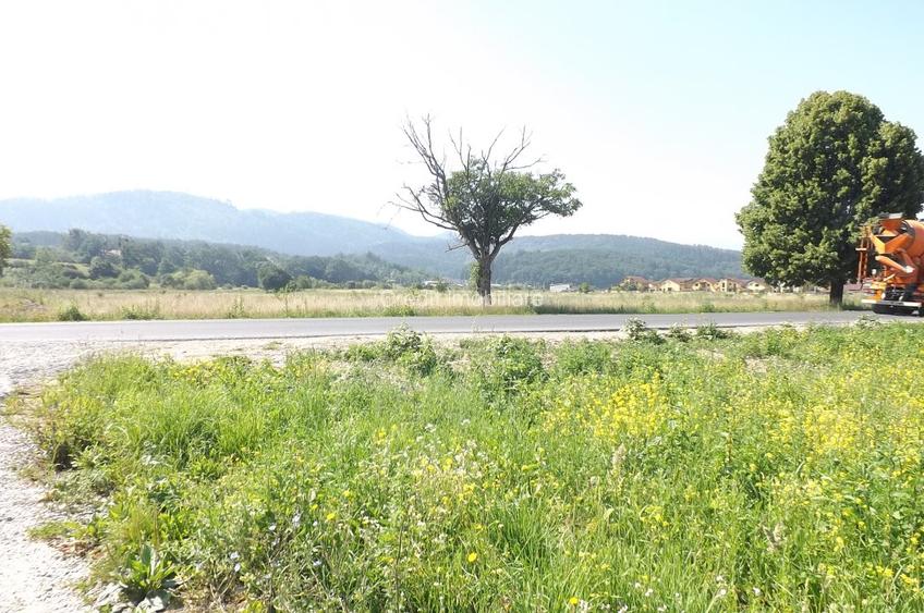 Teren de vanzare - 6