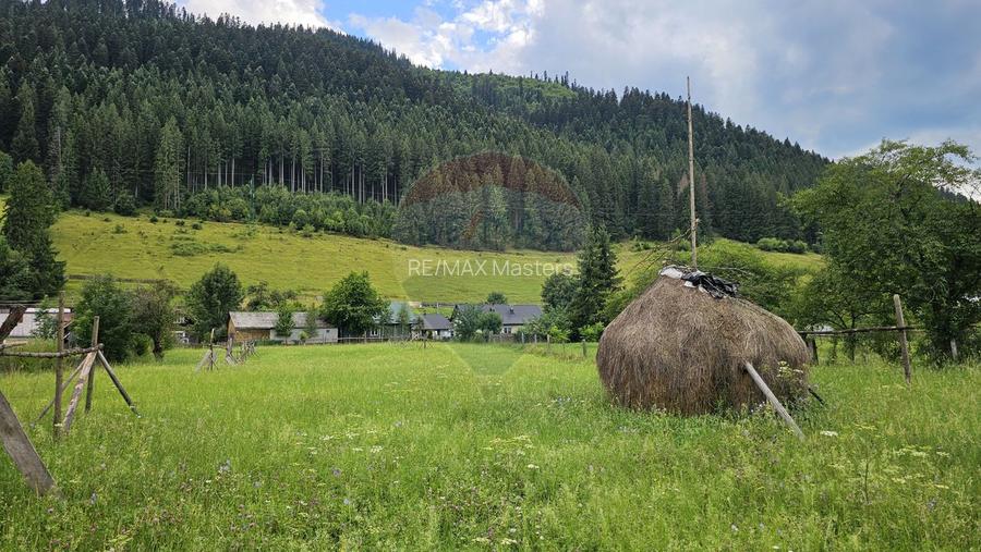 Casa 225 mp, teren intravilan 4822 mp C. Moldovenesc, Suceava - 10