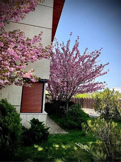 Vila de vanzare 5 camere Sisesti - 3