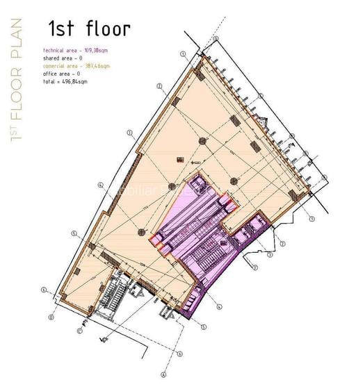 Centrul Istoric Stradal Imobil Comercial Parter si 3 etaje 1500 mp - 3