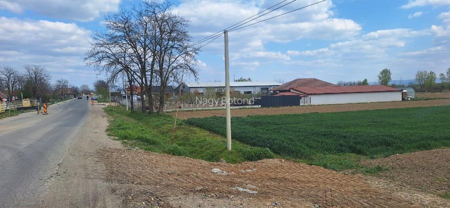 Teren intravilan la 7km de la Satu Mare  - 3