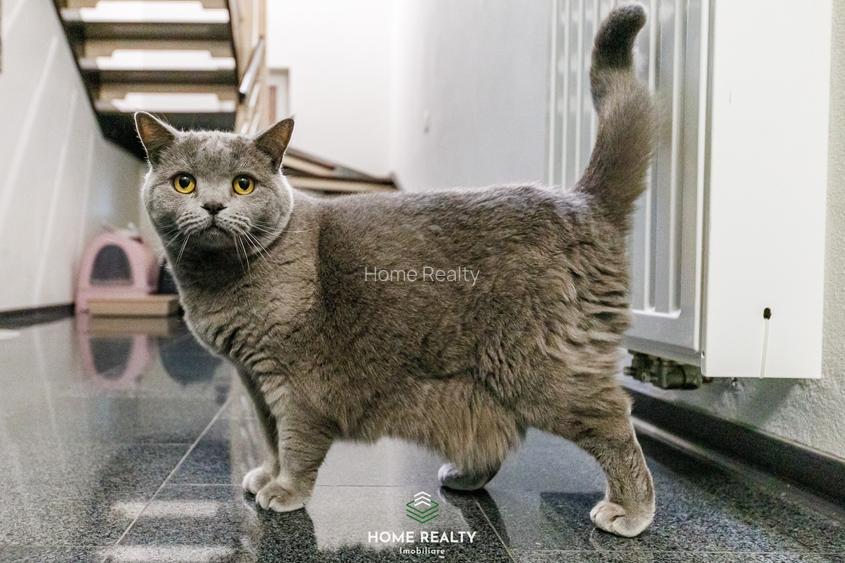 COMISION 0% I Casă individuală de vînzare în Timișoara - zona Lipovei. - 15