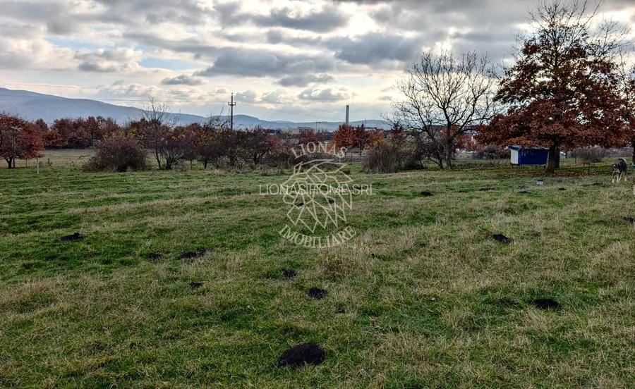 Teren intravilan 800 mp-ideal casa, investitie-Zona Dr. Dumitrei - 2