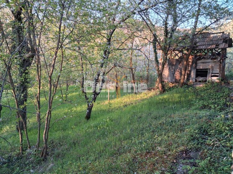 Casă bătrânească cu teren 1150 mp, vie și livadă – Șerbănești, Păușești, Vâlcea - 5