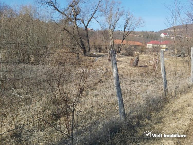 Teren intravilan in suprafata de 1000 mp, Ciurila - 6
