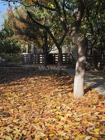 Exclusivitate! Proprietate in Sendreni, jud. Galati -  59.900 EUR - 20