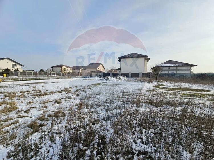 Teren de vanzare pentru casa, 621mp Ilfov Domnesti str Ciocarliei - 5