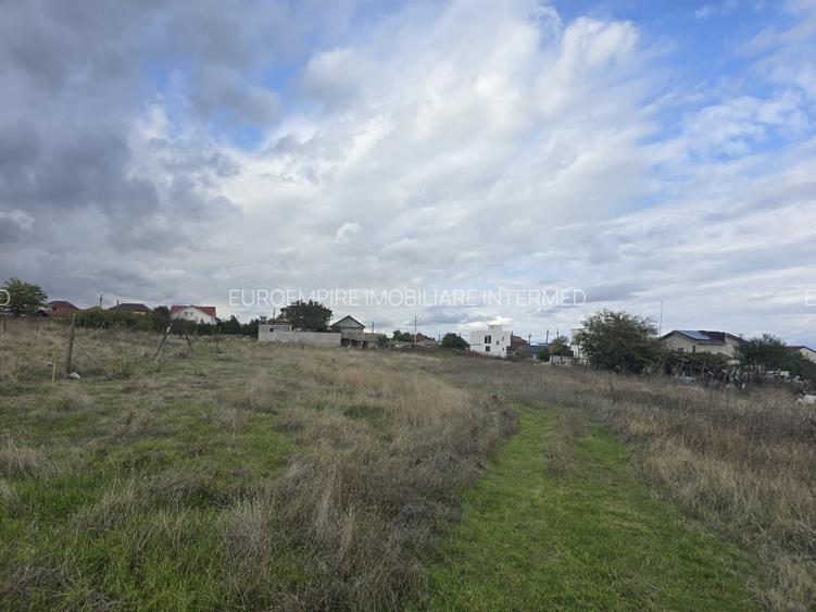 Teren de vanzare in Ovidiu - 3
