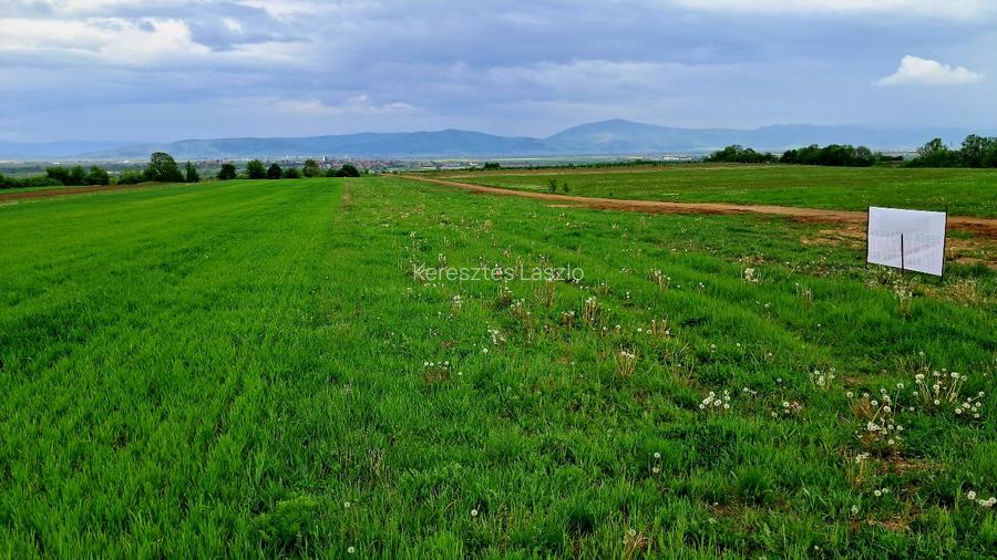 Parcele intravilan (590mp) cu PUZ, Panoramă frumoasă, 5 km de la Sfântu Gheorghe - 2