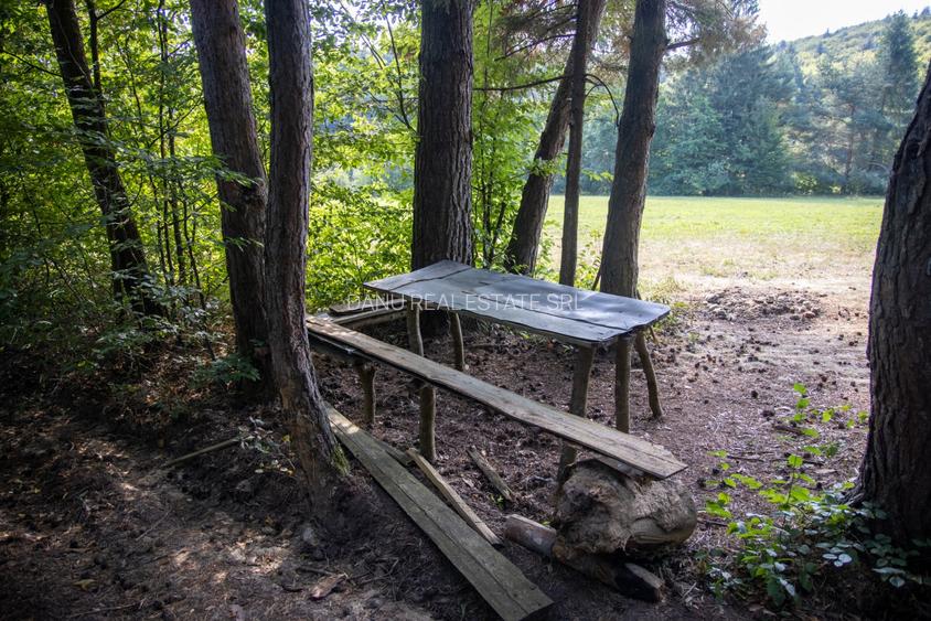 Teren intravilan 6800 mp, zona Lacuri Vulcan, Brașov - 8