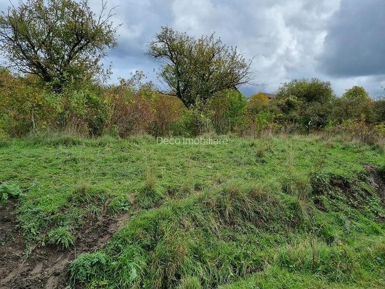 Comision 0%. Teren extravilan de vanzare in Iris, str. Pomet - 2