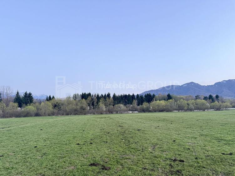 Teren intravilan, 7838 mp, cu priveliște superbă spre munți – Zărnești - 4