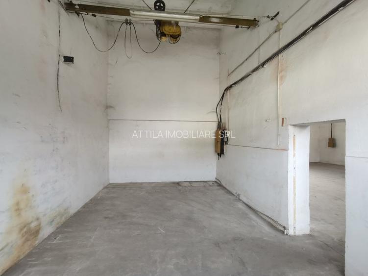 Iosefin Depozit 175 mp 875 euro +TVA - 7