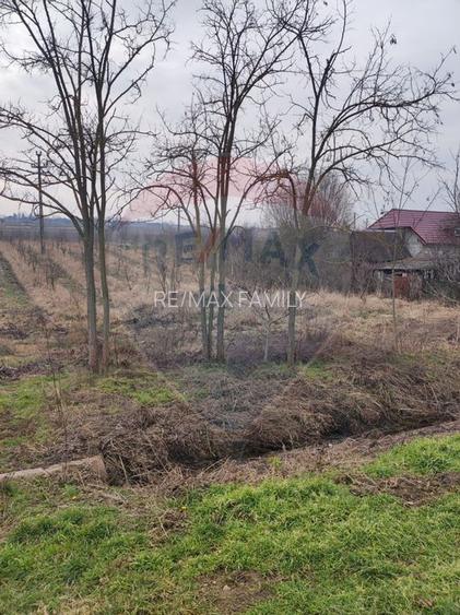 Teren 2.341 mp Uileacu de Munte front 26 ml la drum asfaltat - 6