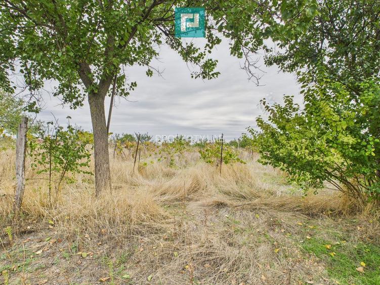 Clădire pentru investiții în Semlac - 25