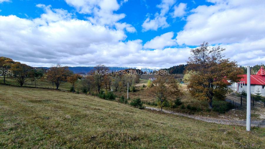 TEREN INTRAVILAN-EXTRAVILAN SPECTACULOS LANGA RESORTUL CHEILE GRADISTEI -FUNDATA - 7