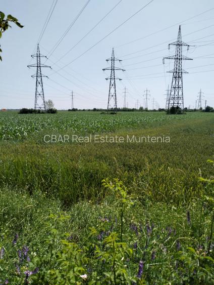 Teren de vanzare 7.360 mp  Oarja, Pasarela A1 Pret  25 760 euro 3,5 €/mp! - 4