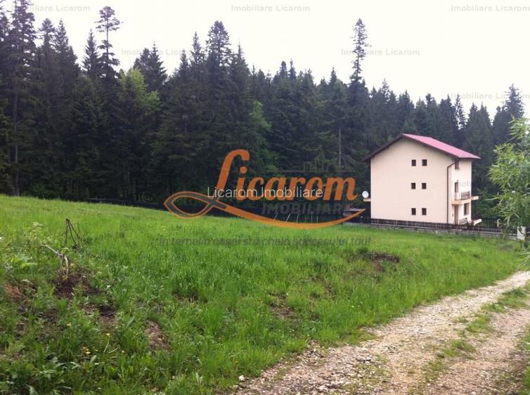 Teren intravilan Cotul Donului,pretabil Hotel/pensiune. - 14