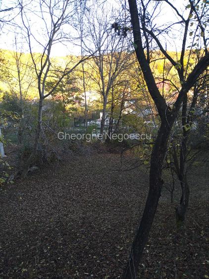 Teren intravilan 3.788 mp, deschidere 39 m, Fieni, sat Costești, jud. Dâmbovița - 8