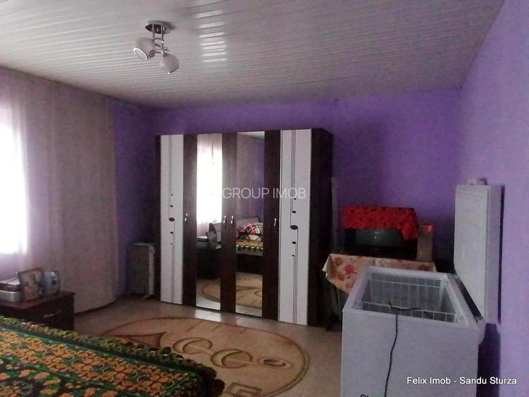 Lipova, gospodarie completa, 2 case si 2900 mp teren - 6