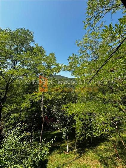 Ansamblu cabanute zona Cozieni - 29