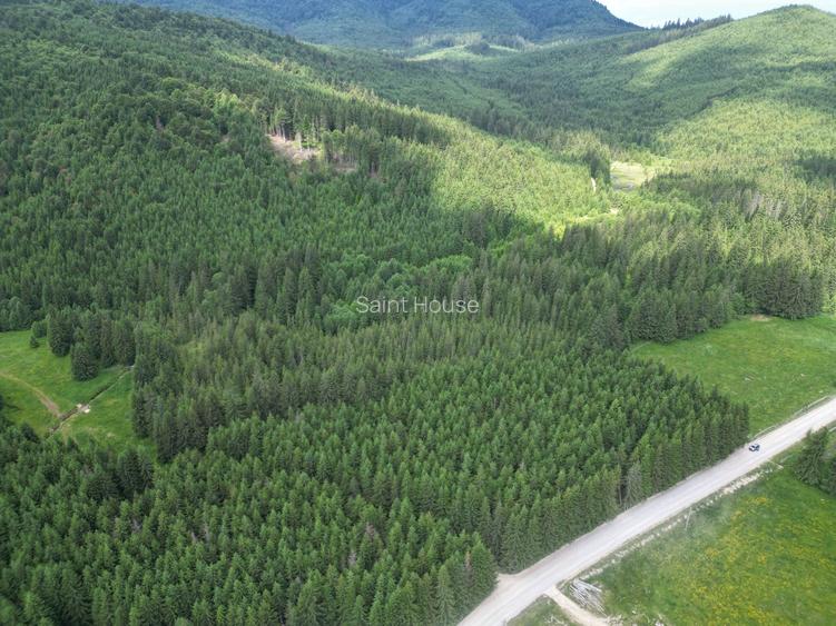 Teren extravilan 5000 MP Comandau - 4