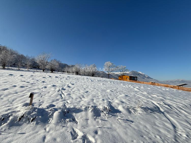 Teren intravilan loturi intre 500 si 1000 m, la 5 km de Moieciu - 10
